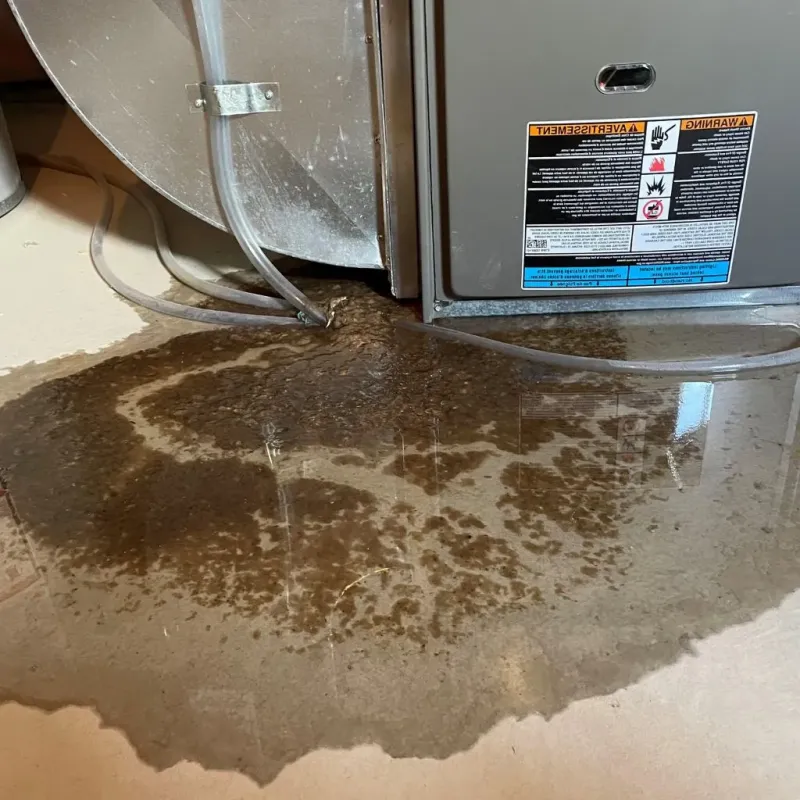 Pipe Burst and Leak Restoration in University Heights, NY