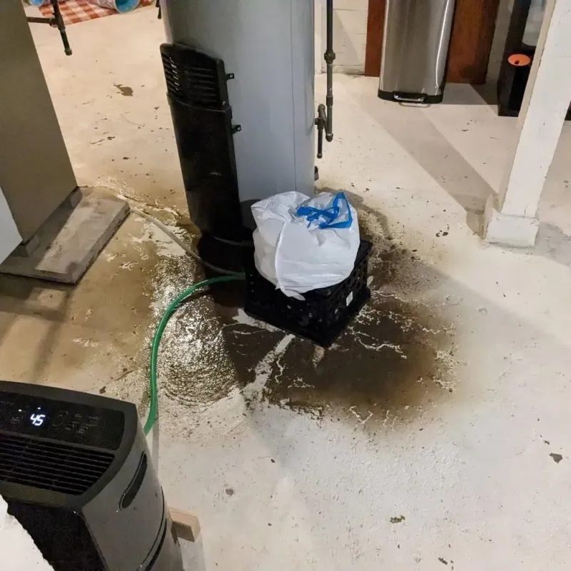 Sewage Backup Cleanup Service in University Heights, NY